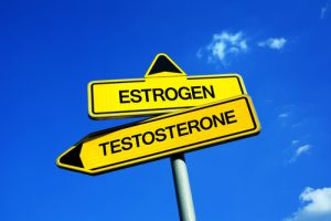 Estrogen vs Testosterone
